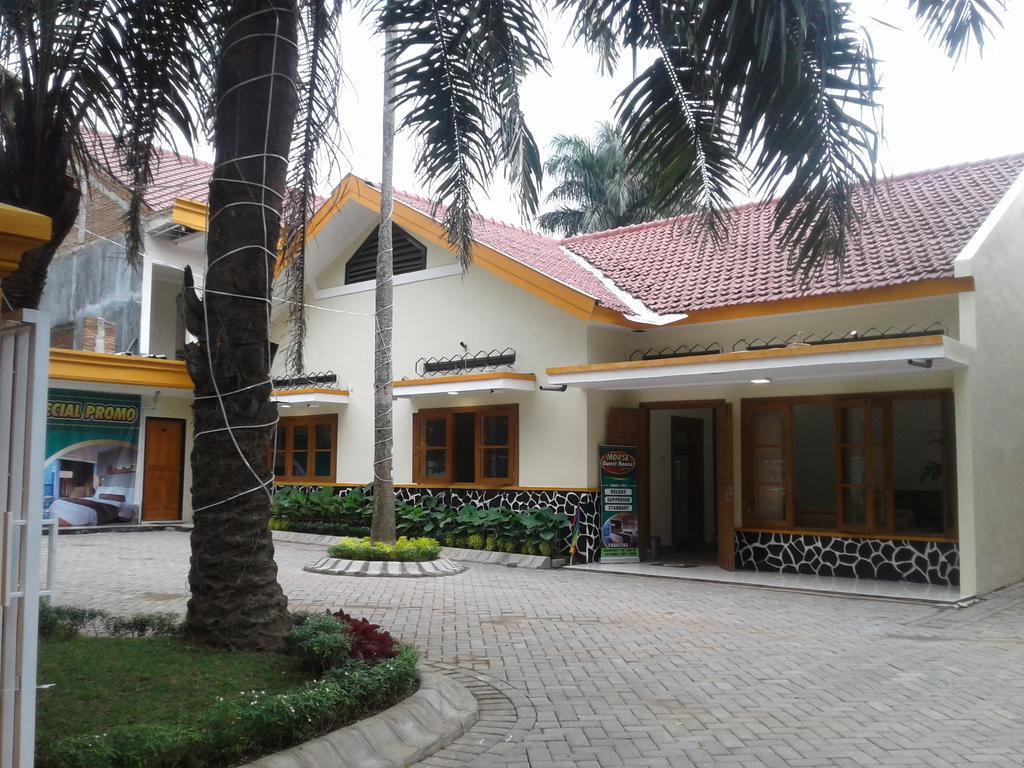 Morse Guest House Маланг Екстер'єр фото